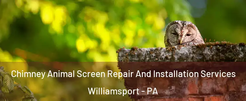  Chimney Animal Screen Repair And Installation Services Williamsport - PA