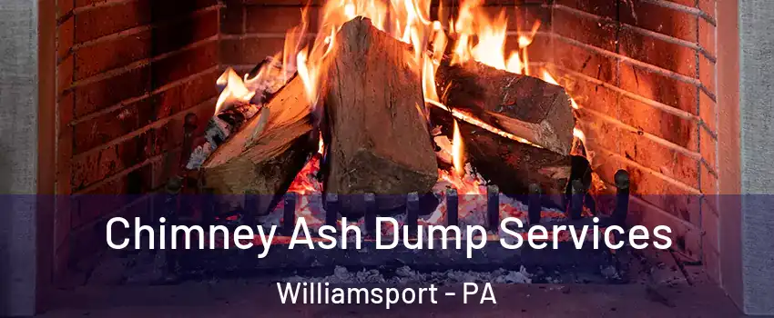 Chimney Ash Dump Services Williamsport - PA