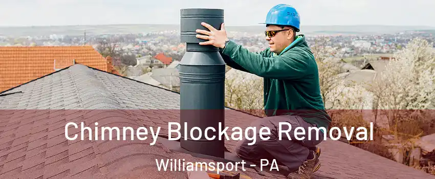  Chimney Blockage Removal Williamsport - PA