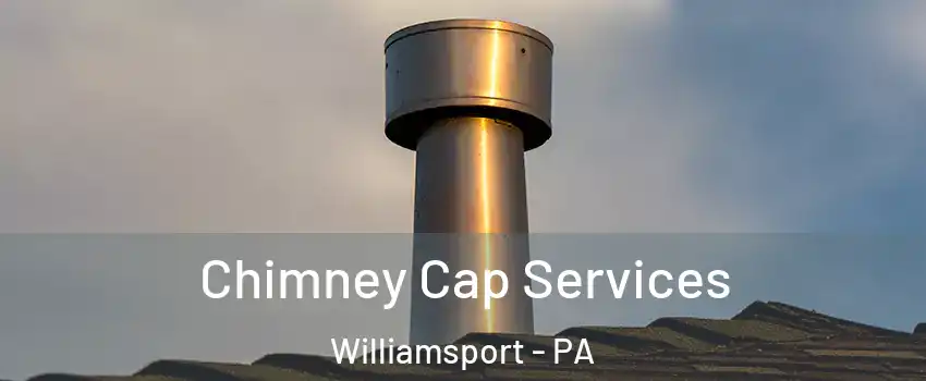  Chimney Cap Services Williamsport - PA
