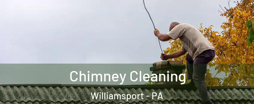  Chimney Cleaning Williamsport - PA