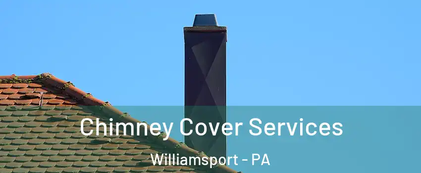  Chimney Cover Services Williamsport - PA