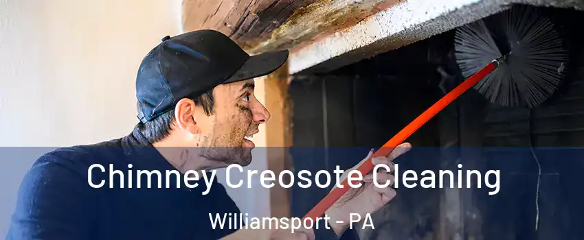  Chimney Creosote Cleaning Williamsport - PA
