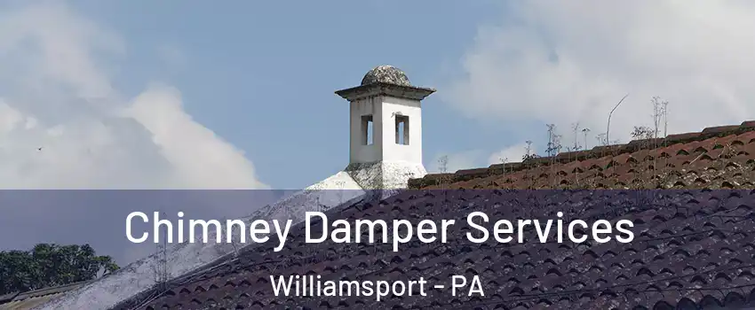  Chimney Damper Services Williamsport - PA