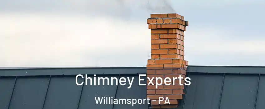  Chimney Experts Williamsport - PA
