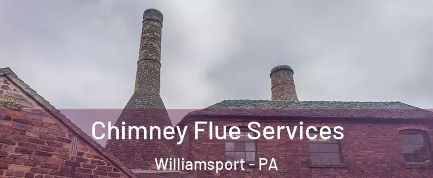  Chimney Flue Services Williamsport - PA