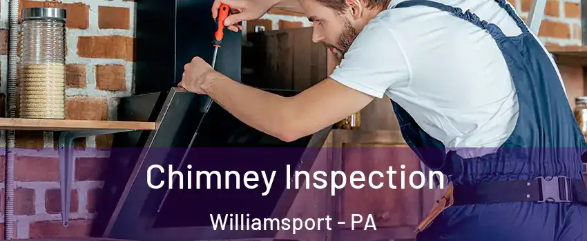  Chimney Inspection Williamsport - PA