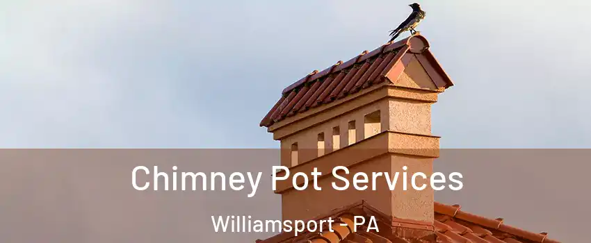  Chimney Pot Services Williamsport - PA