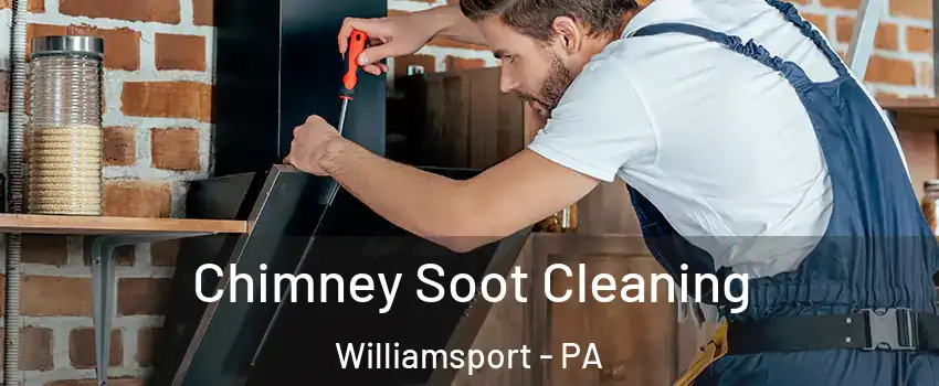  Chimney Soot Cleaning Williamsport - PA