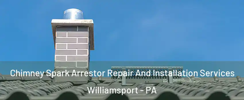  Chimney Spark Arrestor Repair And Installation Services Williamsport - PA