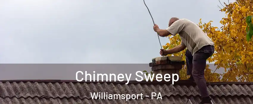  Chimney Sweep Williamsport - PA
