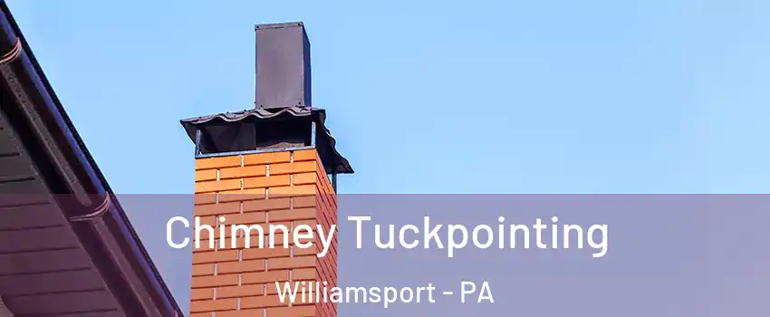  Chimney Tuckpointing Williamsport - PA