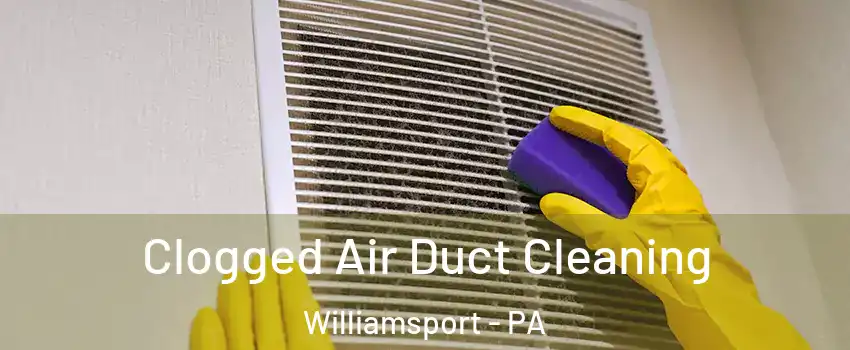  Clogged Air Duct Cleaning Williamsport - PA