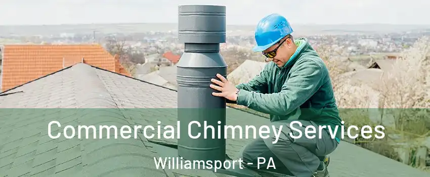  Commercial Chimney Services Williamsport - PA