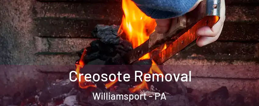  Creosote Removal Williamsport - PA