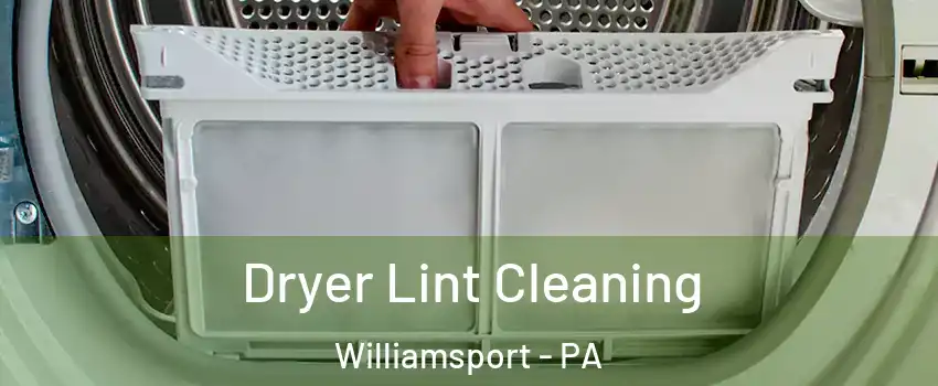  Dryer Lint Cleaning Williamsport - PA