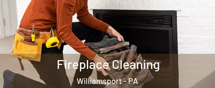  Fireplace Cleaning Williamsport - PA