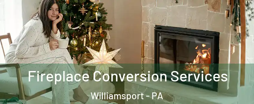  Fireplace Conversion Services Williamsport - PA