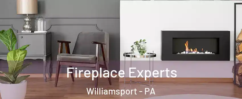  Fireplace Experts Williamsport - PA