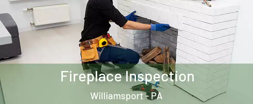  Fireplace Inspection Williamsport - PA