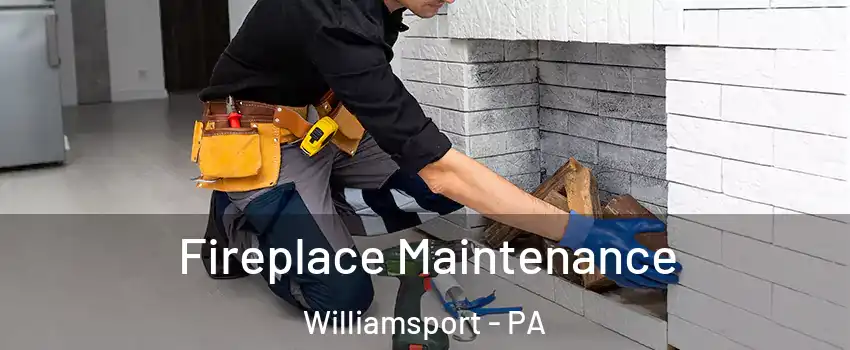  Fireplace Maintenance Williamsport - PA