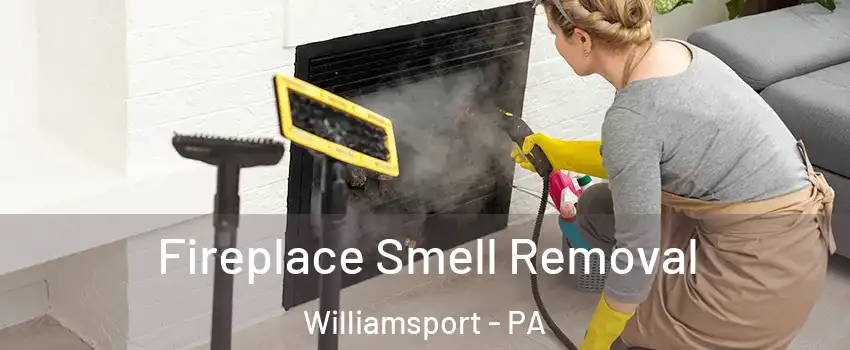  Fireplace Smell Removal Williamsport - PA