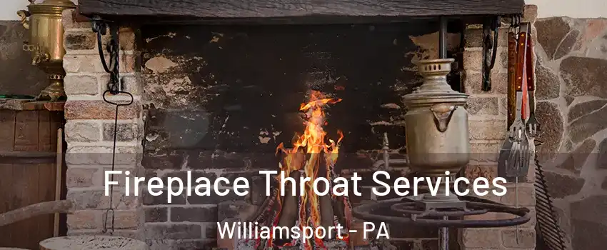  Fireplace Throat Services Williamsport - PA
