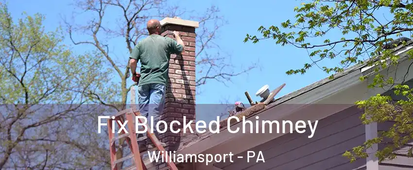  Fix Blocked Chimney Williamsport - PA