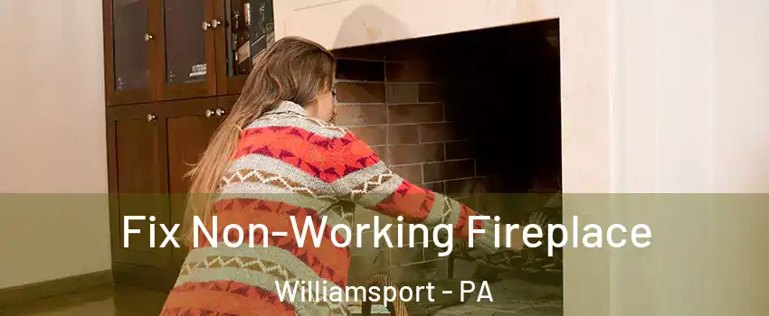  Fix Non-Working Fireplace Williamsport - PA