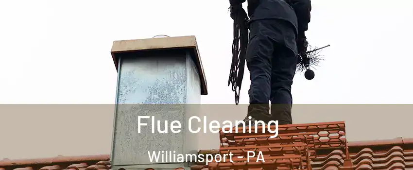  Flue Cleaning Williamsport - PA