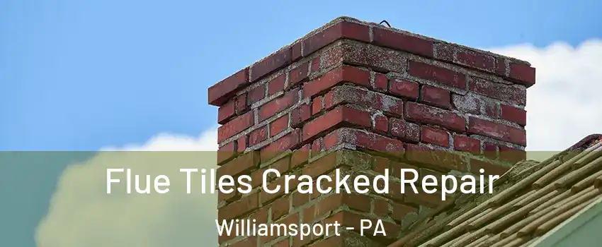  Flue Tiles Cracked Repair Williamsport - PA