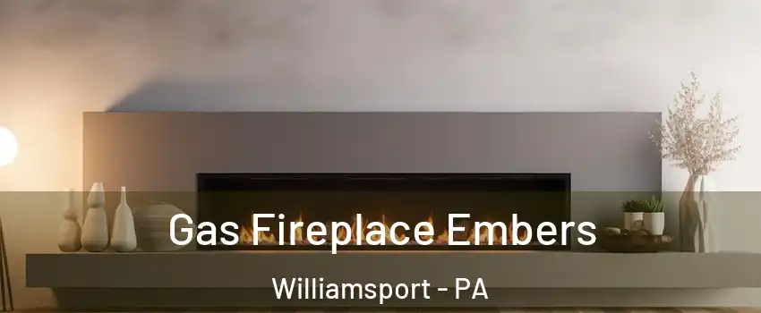  Gas Fireplace Embers Williamsport - PA