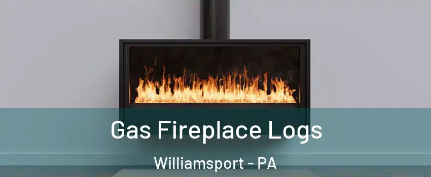  Gas Fireplace Logs Williamsport - PA