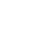 Professional Chimney Flue Installation in Williamsport, Pennsylvania