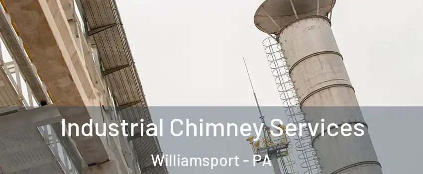  Industrial Chimney Services Williamsport - PA