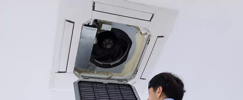 Benefits of Professional Air Duct Cleaning in Williamsport, Pennsylvania
