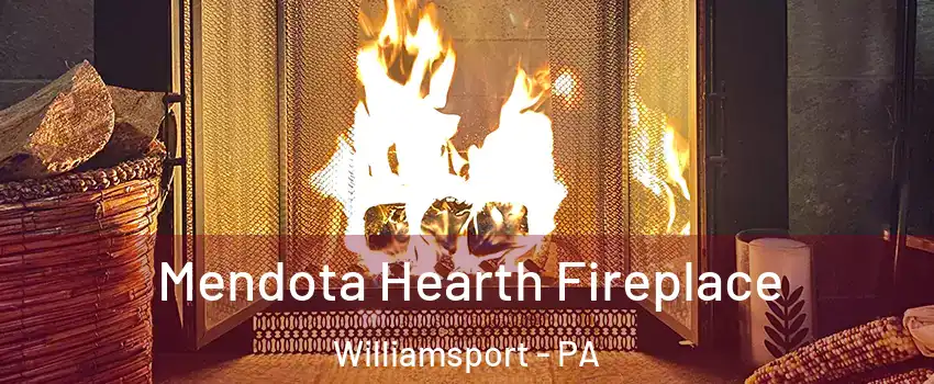  Mendota Hearth Fireplace Williamsport - PA