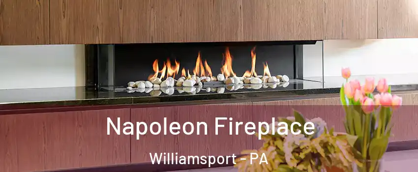  Napoleon Fireplace Williamsport - PA